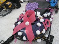 10th Anniversary KSBCSR Feb 7, 2009 breast cancer snow run 2009 247