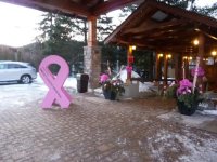 13th Annual - Feb 4, 2012 Hidden Valley Resort 13th annual breast cancer snow run 44