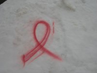 10th Anniversary KSBCSR Feb 7, 2009 breast cancer snow run 2009 281